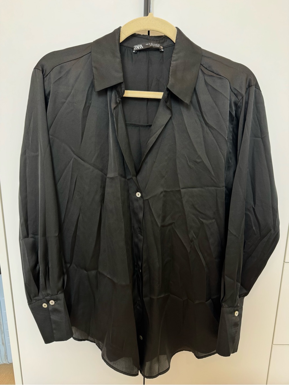ZARA Sheer Button-Up Shirt